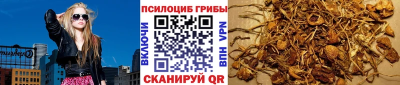 кракен ССЫЛКА  Далматово  Галлюциногенные грибы Psilocybe  что такое наркотик 